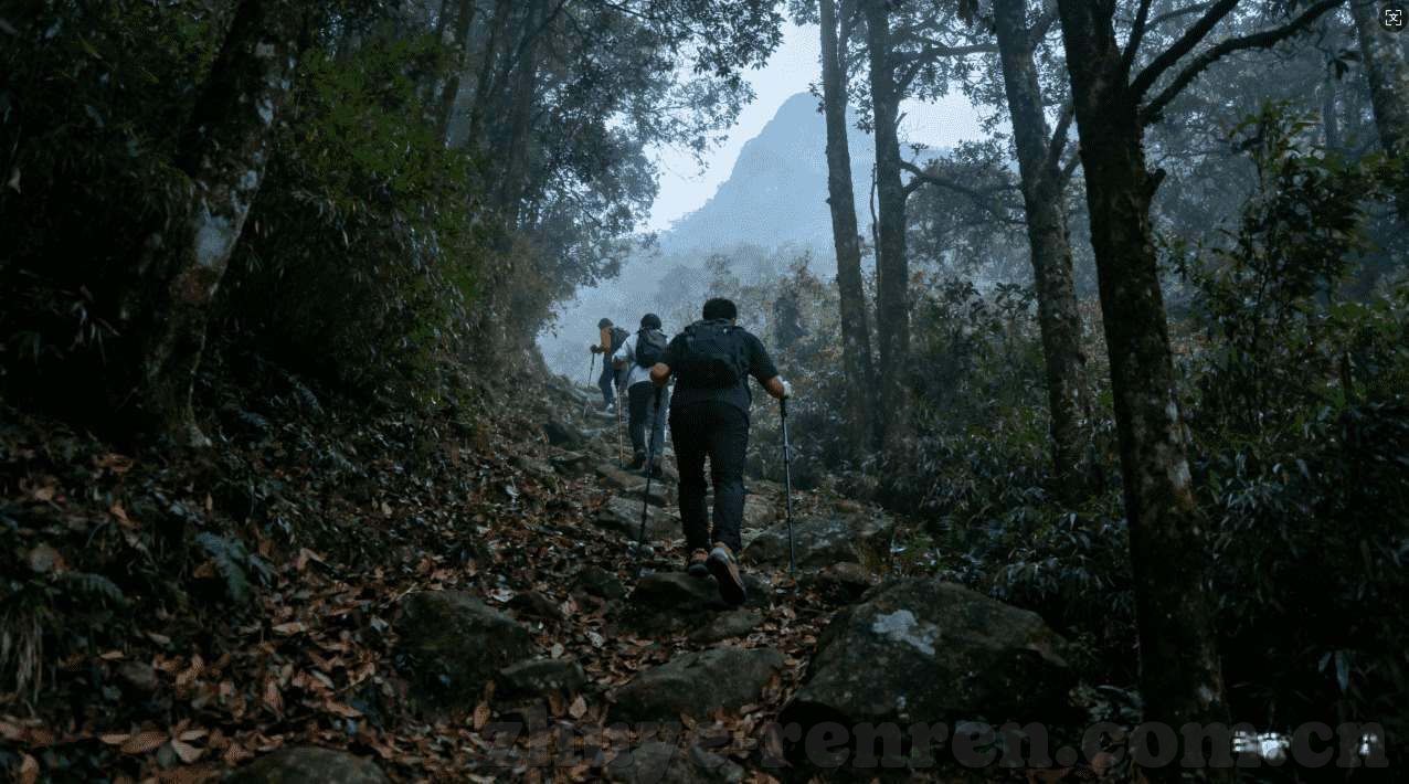 世界杯半场能买球吗-世界杯中场休息能否进行买球？