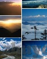 世界杯演员内马尔-内马尔，从巴西之星到世界杯舞台的璀璨演员