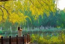 足球比分99-足球比分99,一场打破常规的数字狂欢与深度思考